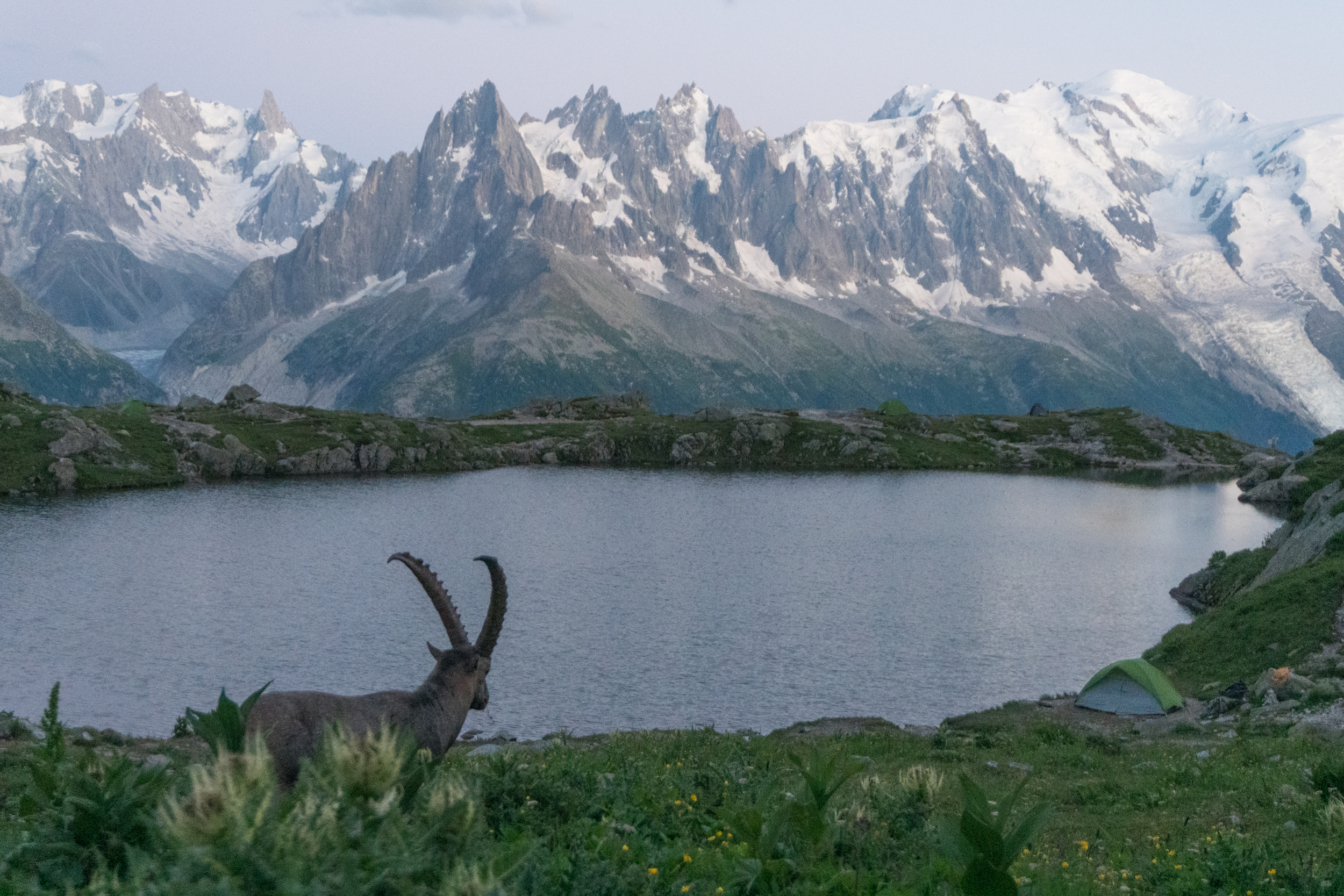 Tour du Mont-Blanc
